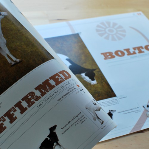 Showtime Brochure